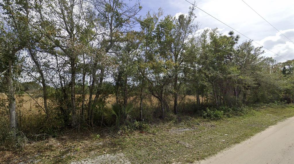 0 Delaware Avenue St. Cloud, FL 34769 - Photo 1 of 3 a view of a forest