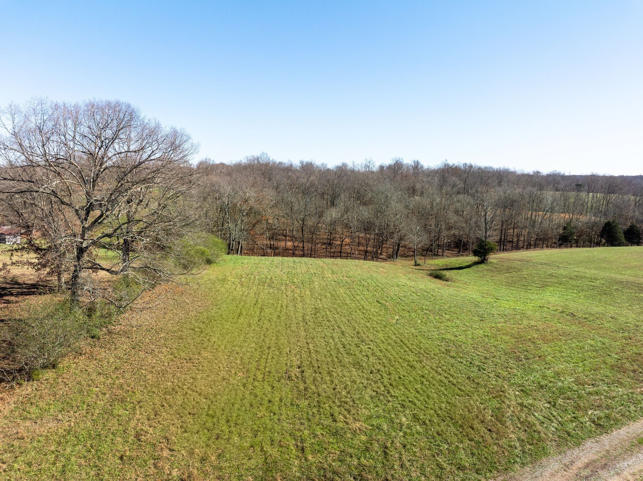 1087 Cowan Road Dickson, TN 37055 - Photo 1 of 8 a view of an outdoor space with a lake view
