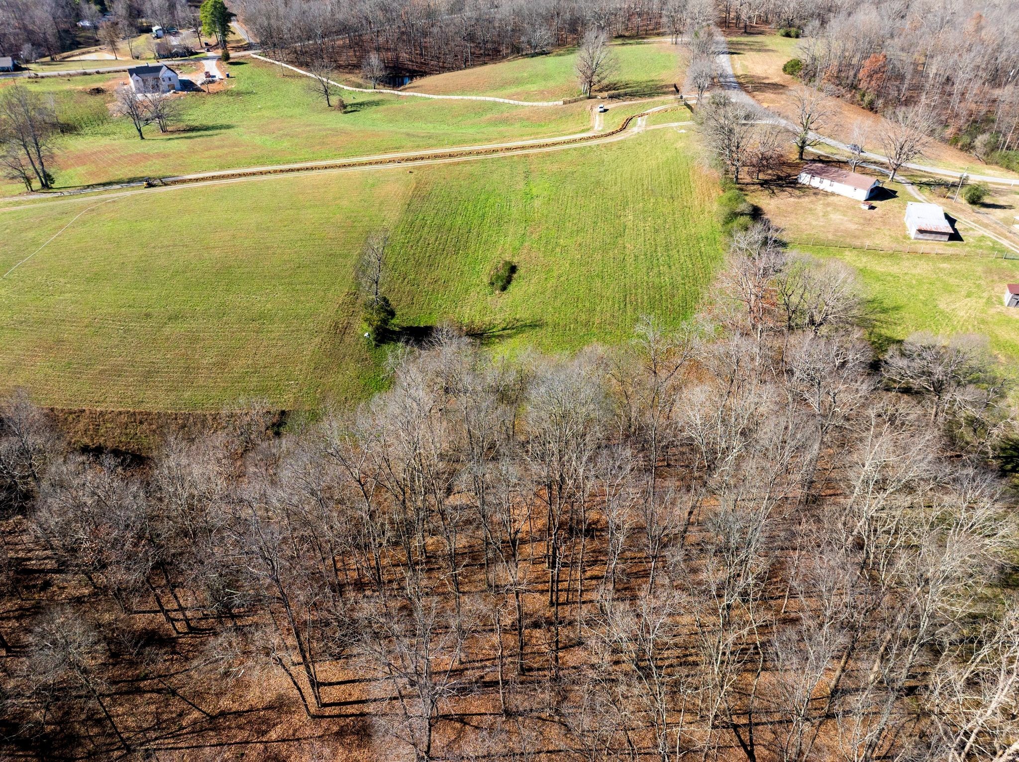 1087 Cowan Road Dickson, TN 37055 - Photo 6 of 8 a view of a basket ball ground
