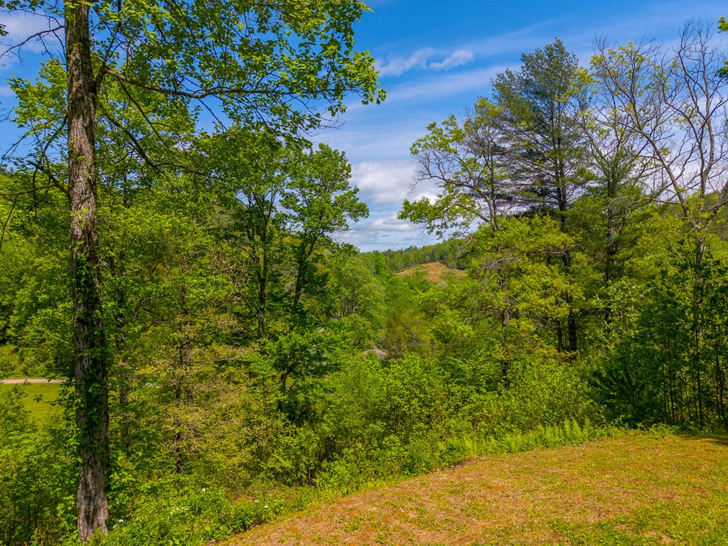 1364 Atoah Road Robbinsville, NC 28771 - Photo 52 of 71