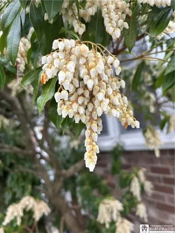 $194,900 | 112 South Warsaw Street, Dunkirk, NY 14048