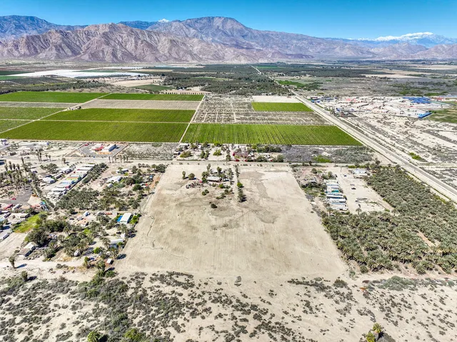 a palm tree sitting in front of a house with a yard