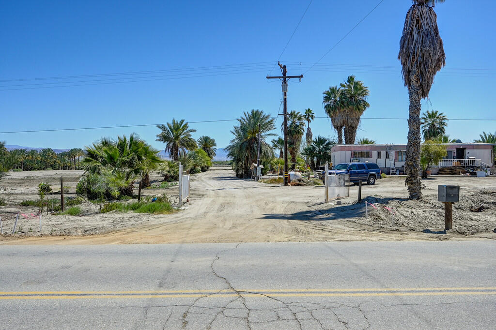 66350 Martinez Road Thermal, CA 92274 - Photo 46 of 68 a palm tree sitting in front of a house