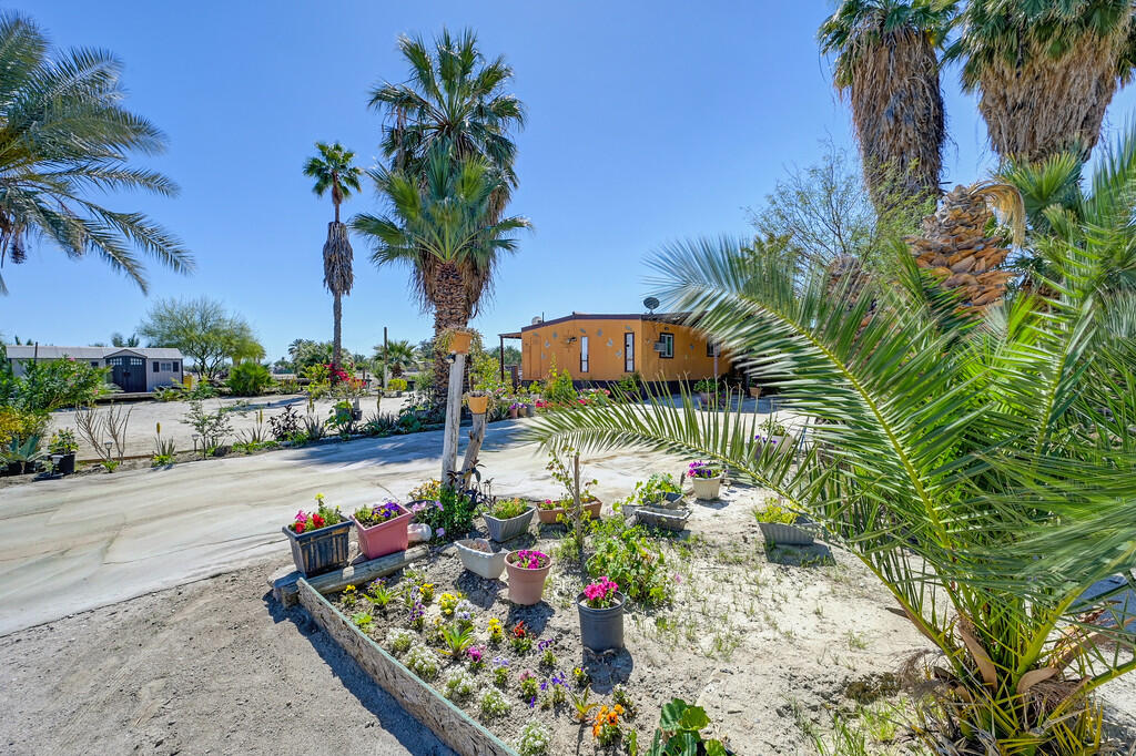 66350 Martinez Road Thermal, CA 92274 - Photo 48 of 68 a street view with potted plants and palm trees