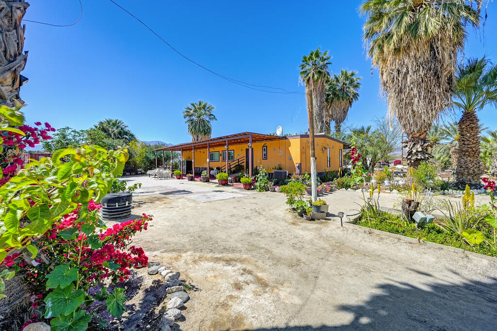 66350 Martinez Road Thermal, CA 92274 - Photo 52 of 68 a view of street with flower on it