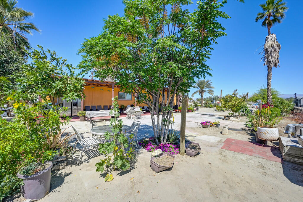 66350 Martinez Road Thermal, CA 92274 - Photo 56 of 68 a view of a patio with table and chairs potted plants and a large tree