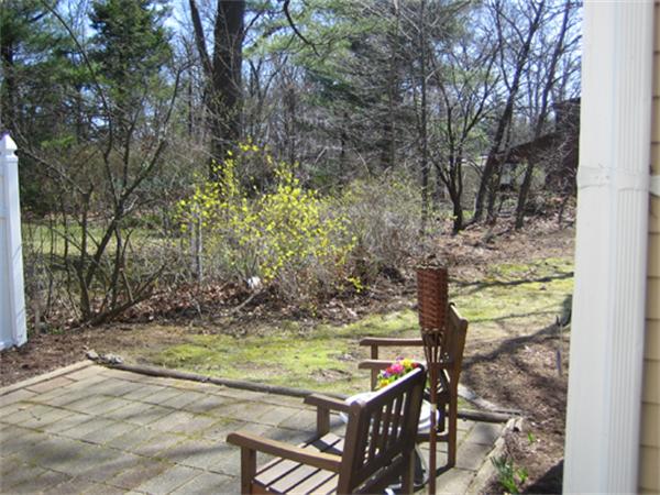 9 Leland Road Natick, MA 01760 - Photo 4 of 11 a view of a yard with plants