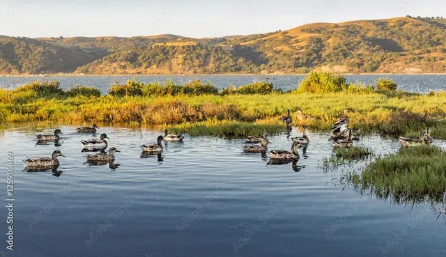 $675,000 | 476 East E Street, Benicia, CA 94510