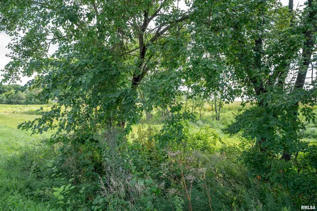 $264,900 | 0 West Farmington Road, Peoria, IL 61604