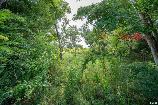 $264,900 | 0 West Farmington Road, Peoria, IL 61604