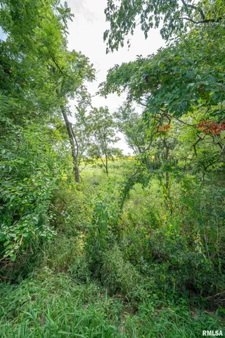 $264,900 | 0 West Farmington Road, Peoria, IL 61604