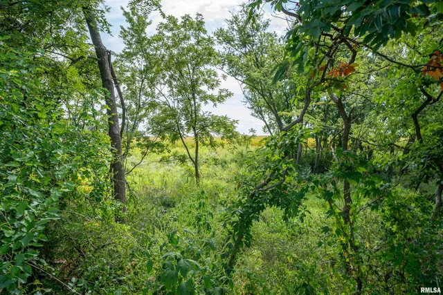 $264,900 | 0 West Farmington Road, Peoria, IL 61604