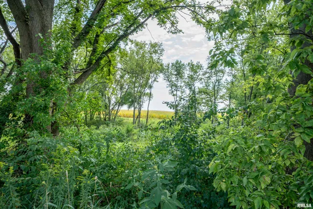 $264,900 | 0 West Farmington Road, Peoria, IL 61604