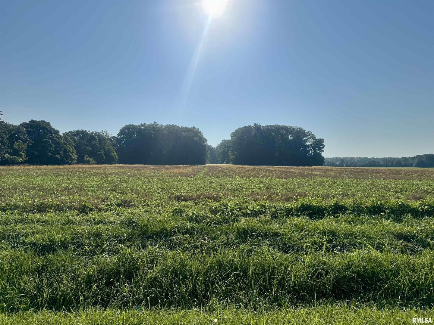 0 County Rd 2400 N Road Centralia, IL 62801 - Photo 7 of 7