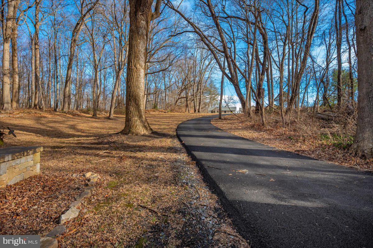 14001 Berryville Road Darnestown, MD 20874 - Photo 104 of 124