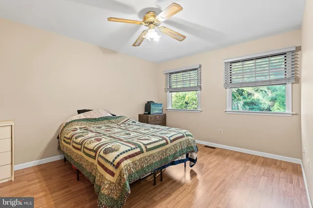 a view of a yard with plants and trees