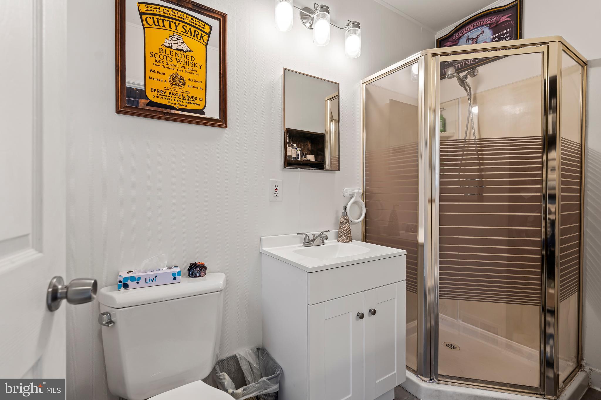 18347 Manor Church Road Boonsboro, MD 21713 - Photo 54 of 70 Second full bath