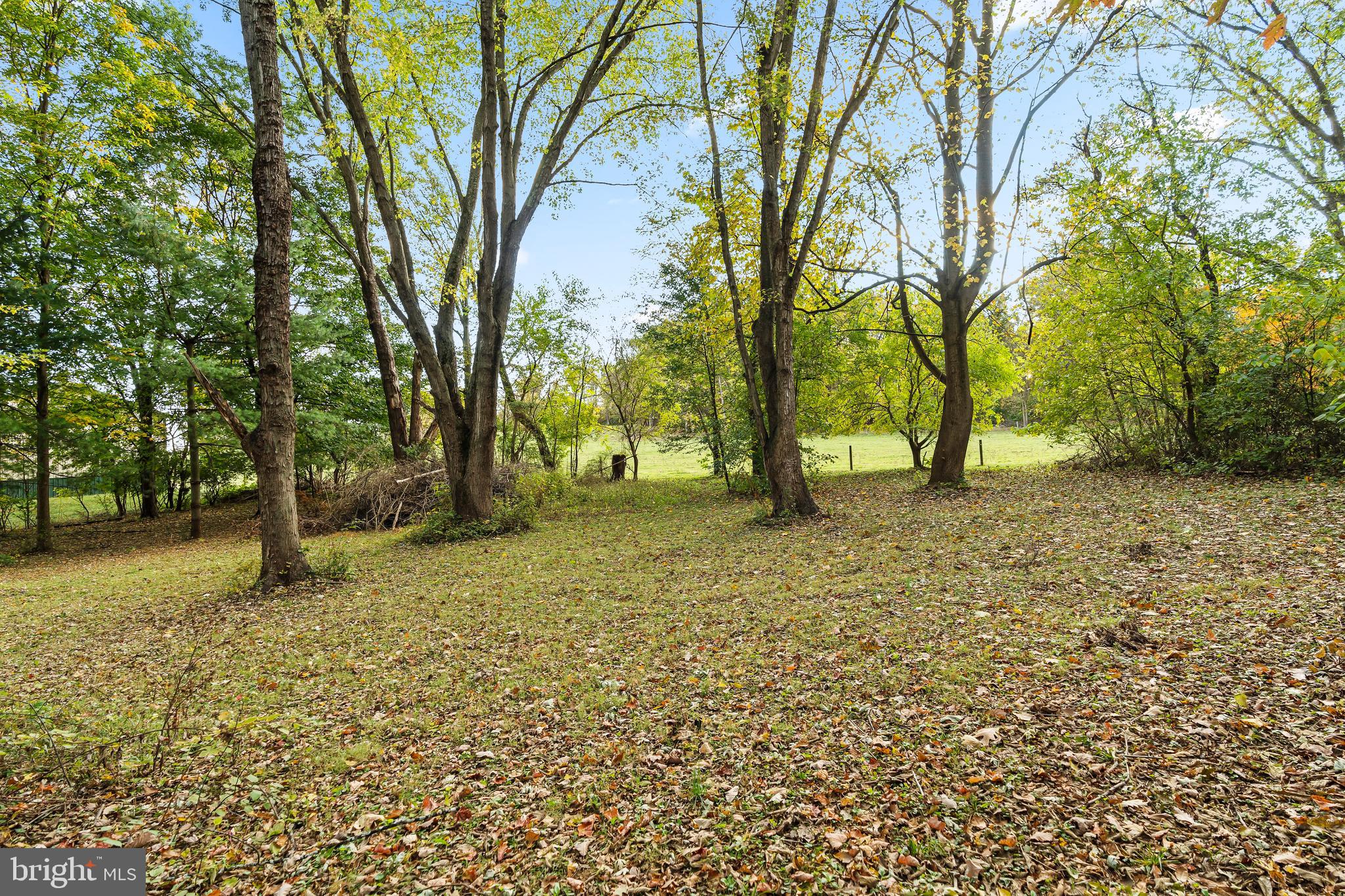 18347 Manor Church Road Boonsboro, MD 21713 - Photo 63 of 68 Private backyard