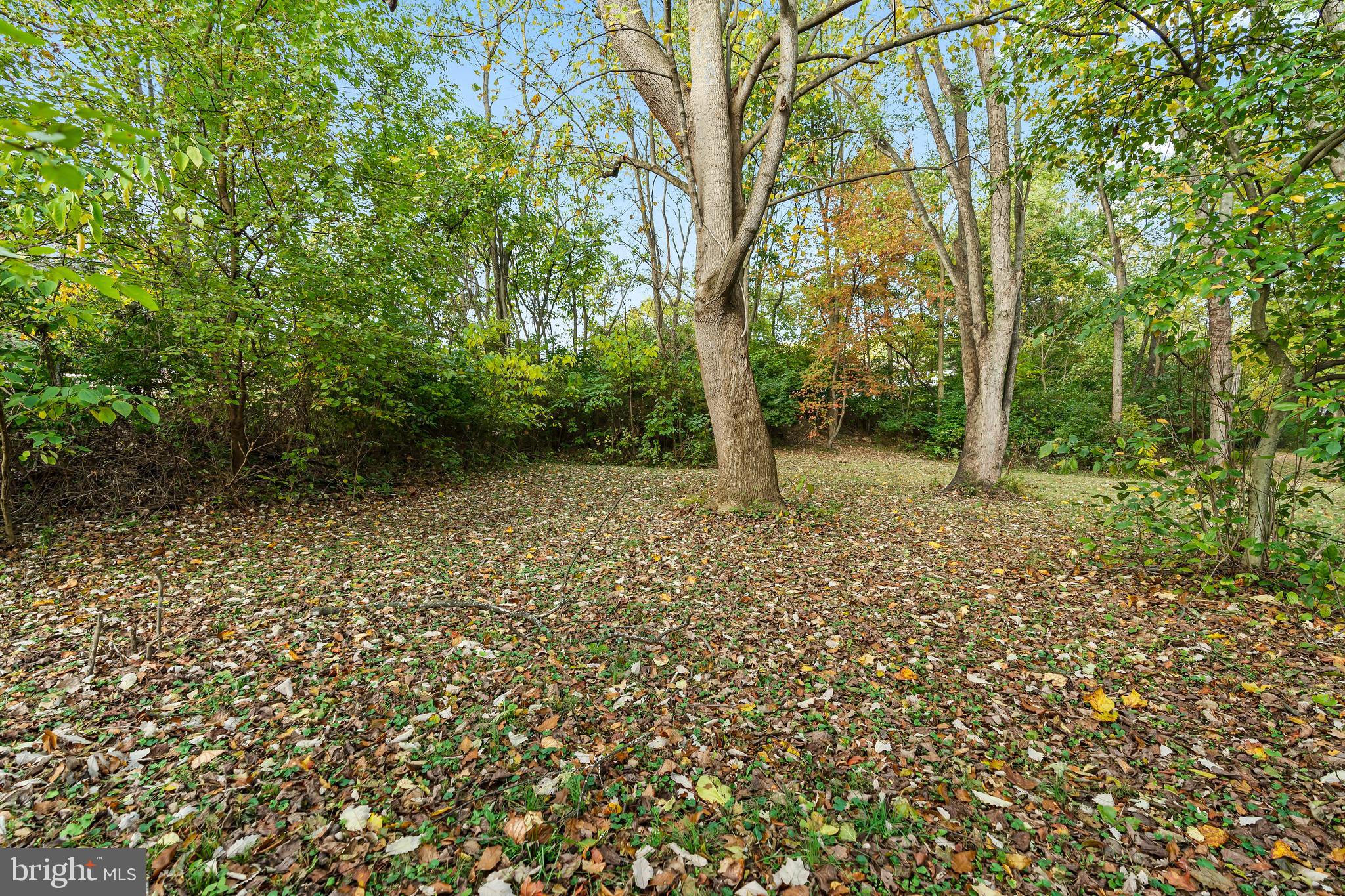 18347 Manor Church Road Boonsboro, MD 21713 - Photo 63 of 70 Private backyard