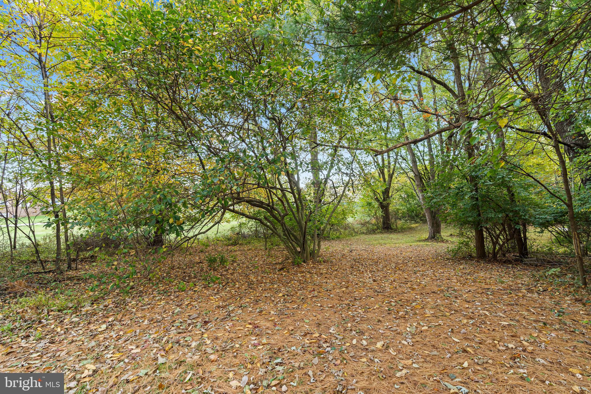 18347 Manor Church Road Boonsboro, MD 21713 - Photo 68 of 70 a view of a yard with plants and trees