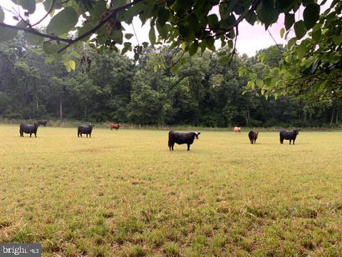 18347 Manor Church Road Boonsboro, MD 21713 - Photo 68 of 68 Neighbors to the back