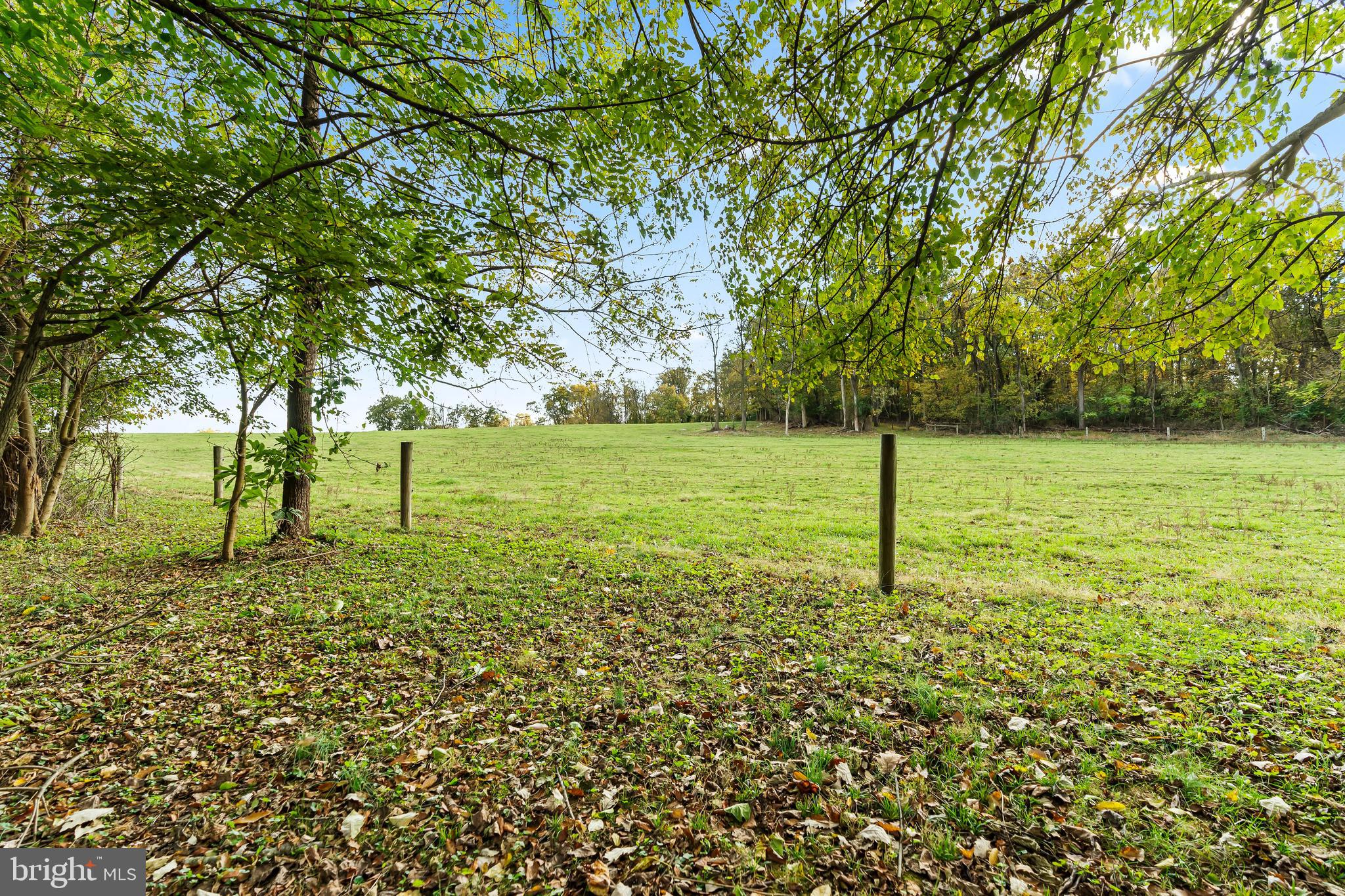 18347 Manor Church Road Boonsboro, MD 21713 - Photo 69 of 70 a view of a field with a tree