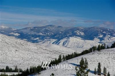 -tbd Yellow Leaf Road Winthrop, WA 98862 - Photo 1 of 1 Gallery Image 1