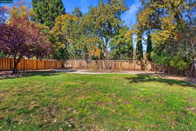 a view of a yard with large trees