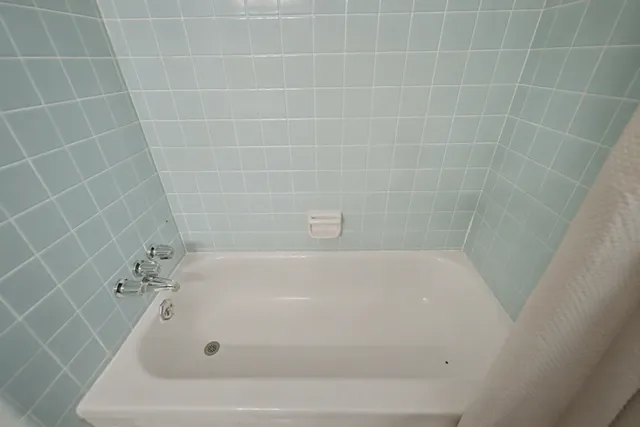 a bathroom with a bathtub