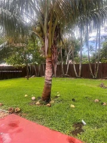 a view of a park with large trees