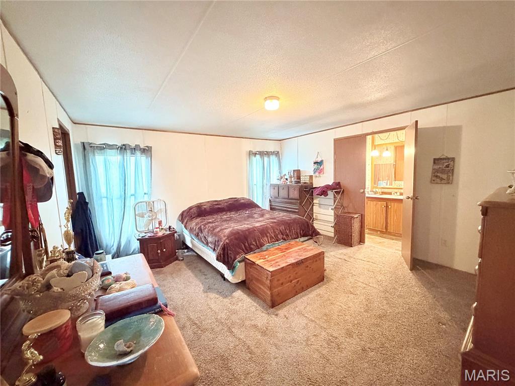 2809 County Road 115 Road Annapolis, MO 63620 - Photo 5 of 28