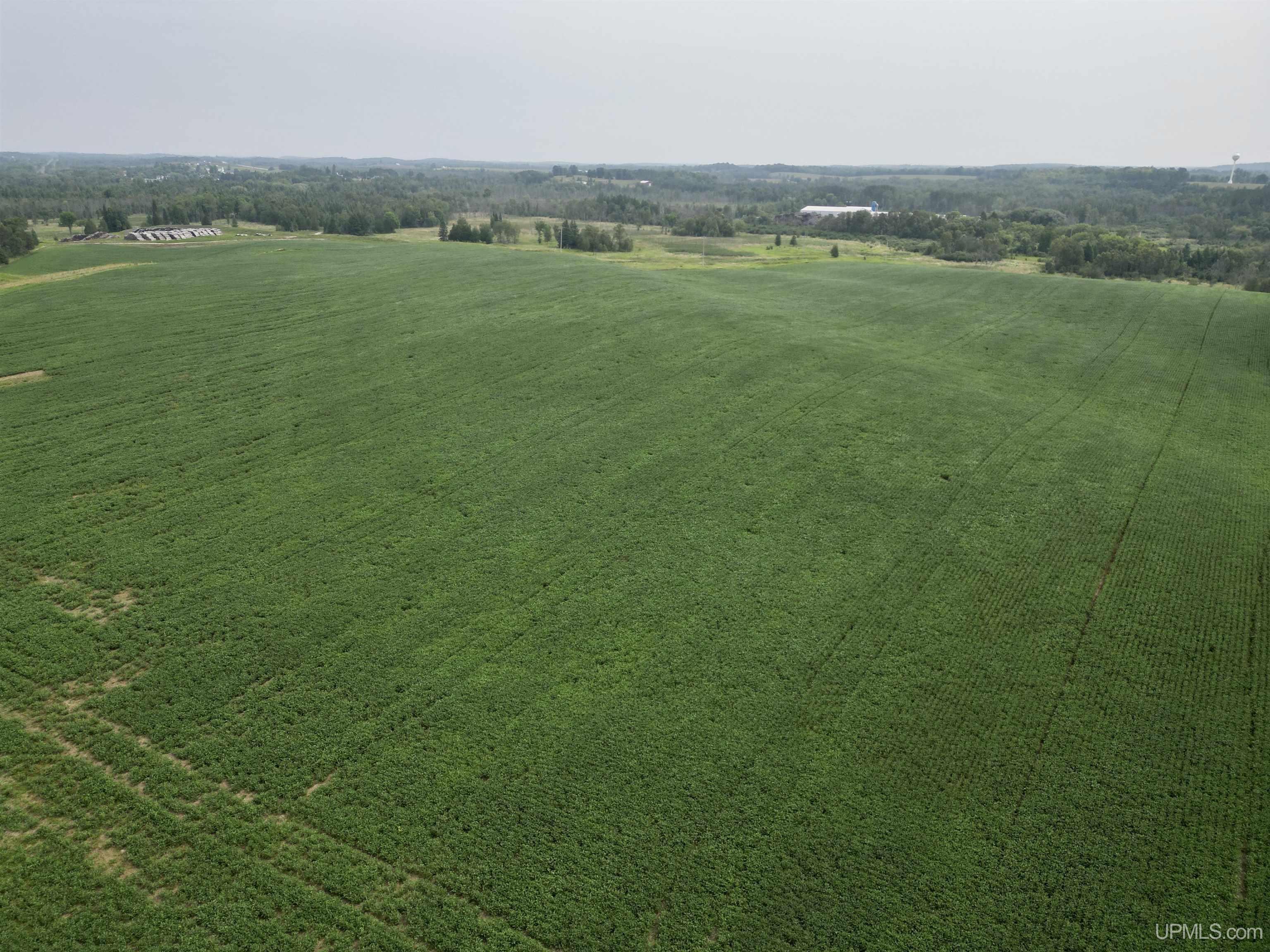 Tbd Tbd Off Guard St Road Carney, MI 49812 - Photo 1 of 13