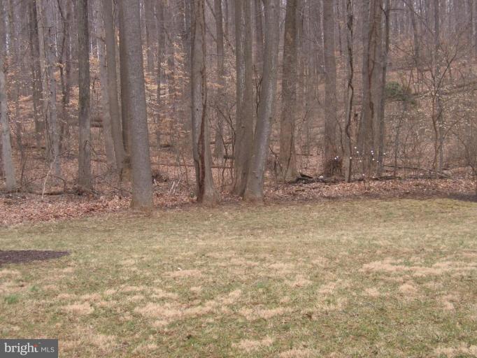 5218 Eliots Oak Road Columbia, MD 21044 - Photo 26 of 30 Back yard