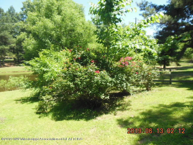 33 Linwood Road Senatobia, MS 38668 - Photo 28 of 34 DSCN0728