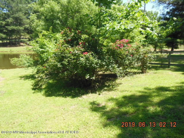 33 Linwood Road Senatobia, MS 38668 - Photo 29 of 34 DSCN0731