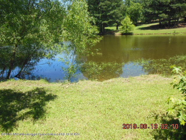 33 Linwood Road Senatobia, MS 38668 - Photo 30 of 34 DSCN0718