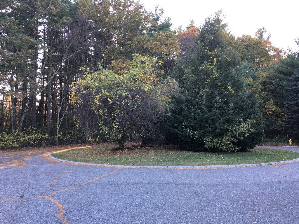 0 Laurel Road Weston, MA 02493 - Photo 3 of 5 Gallery Image 3