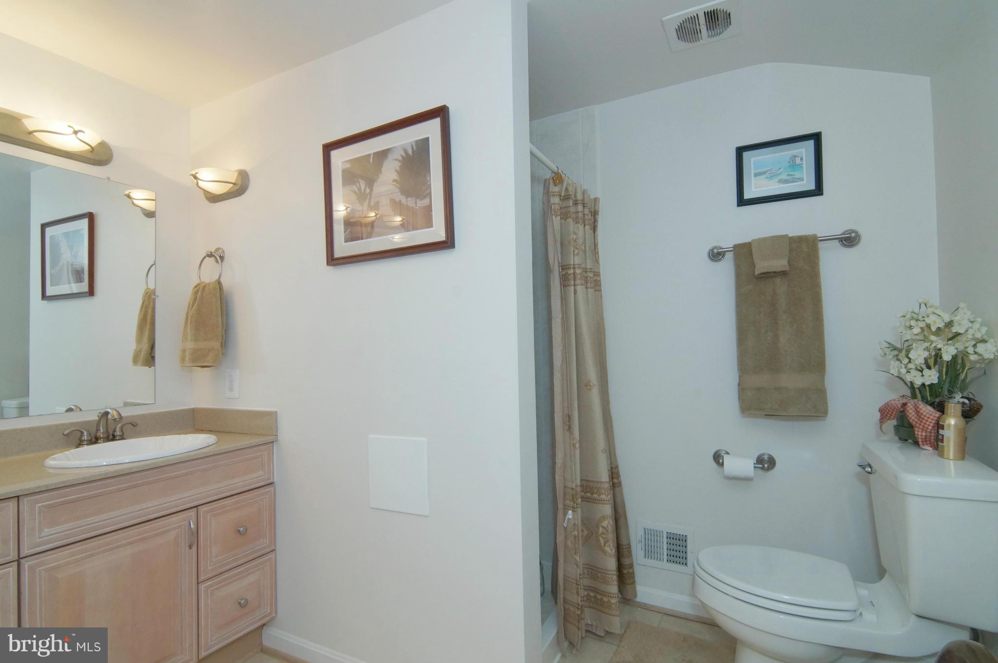 8023 Langbrook Road Springfield, VA 22152 - Photo 20 of 30 Master Bath viewing Shower