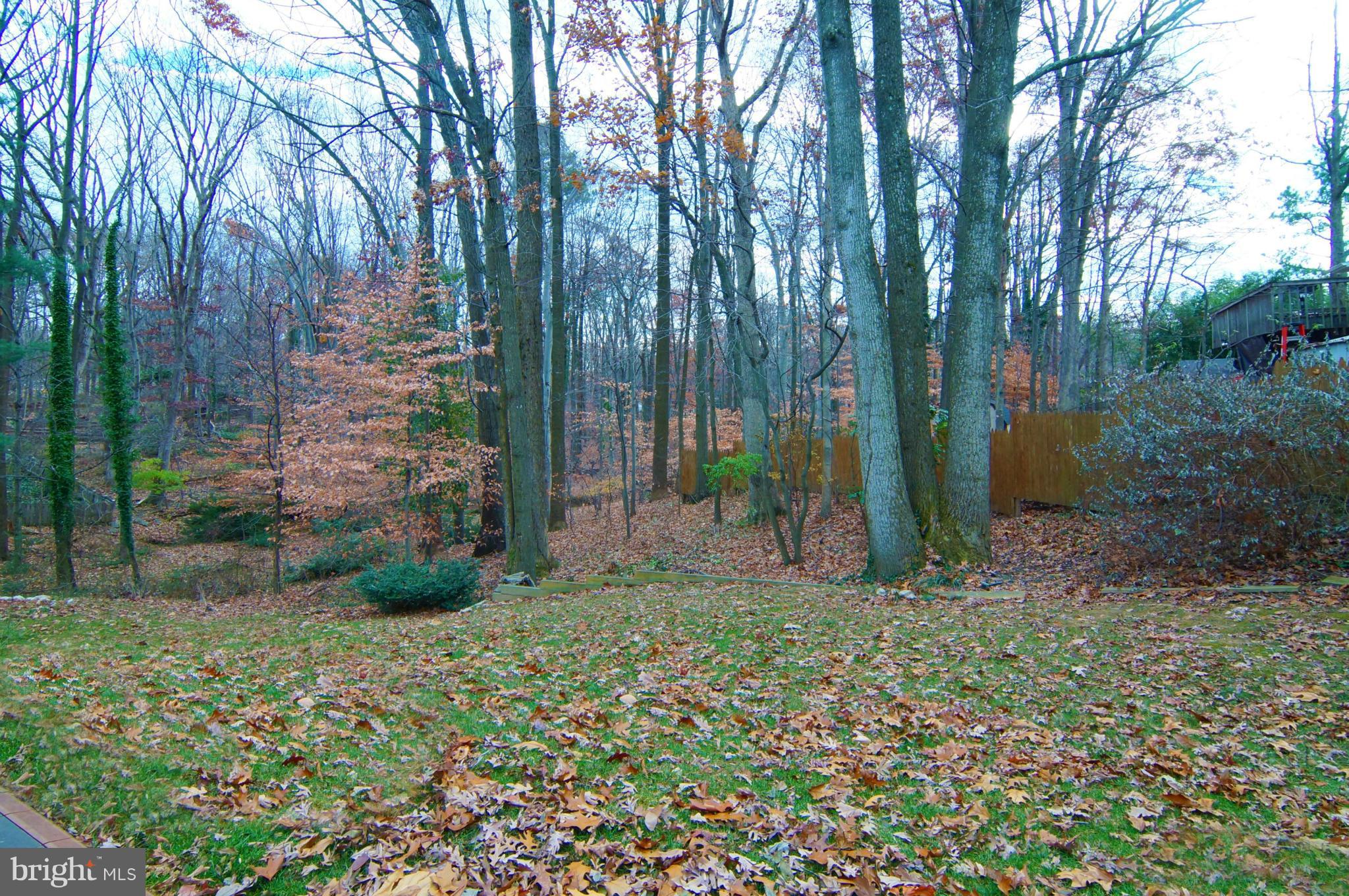 8023 Langbrook Road Springfield, VA 22152 - Photo 29 of 30 Backyard View from LL Glass Slider