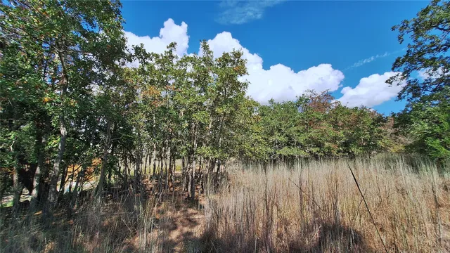 $36,500 | 406 Choctaw Crest, Somerville, TX 77879