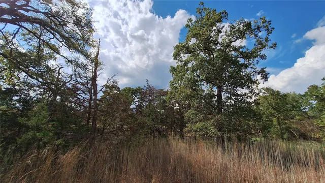 $36,500 | 406 Choctaw Crest, Somerville, TX 77879