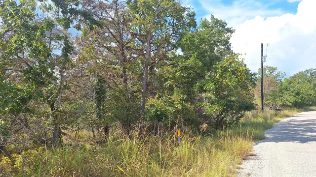 $36,500 | 406 Choctaw Crest, Somerville, TX 77879