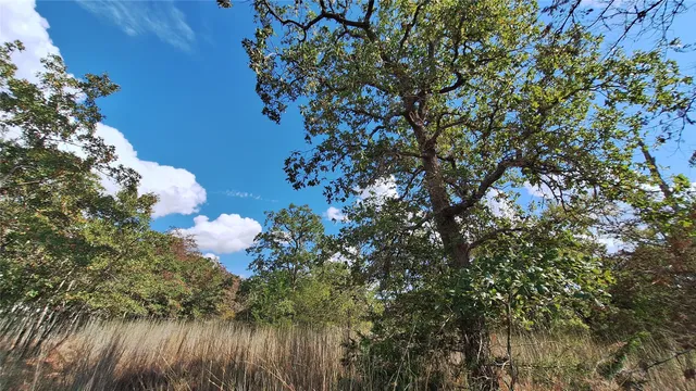 $36,500 | 406 Choctaw Crest, Somerville, TX 77879