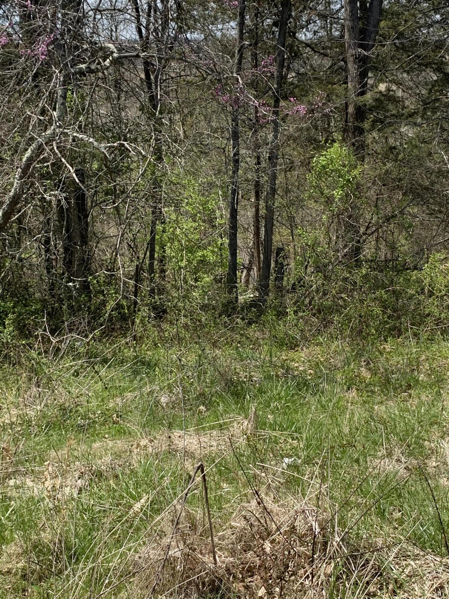 1000 Britton Road Harrodsburg, KY 40330 - Photo 53 of 88 C6C8944F-35B3-492E-8A02-0EACED2848BD