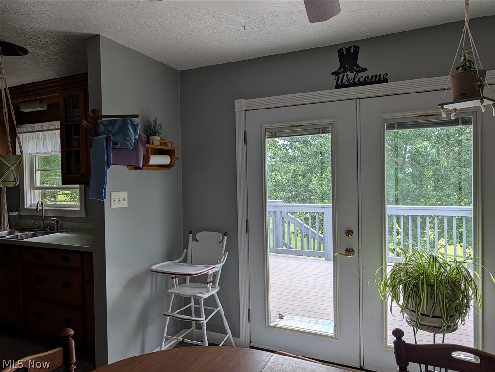 41401 Hanover Ridge Road Jewett, OH 43986 - Photo 11 of 28 French doors to rear deck