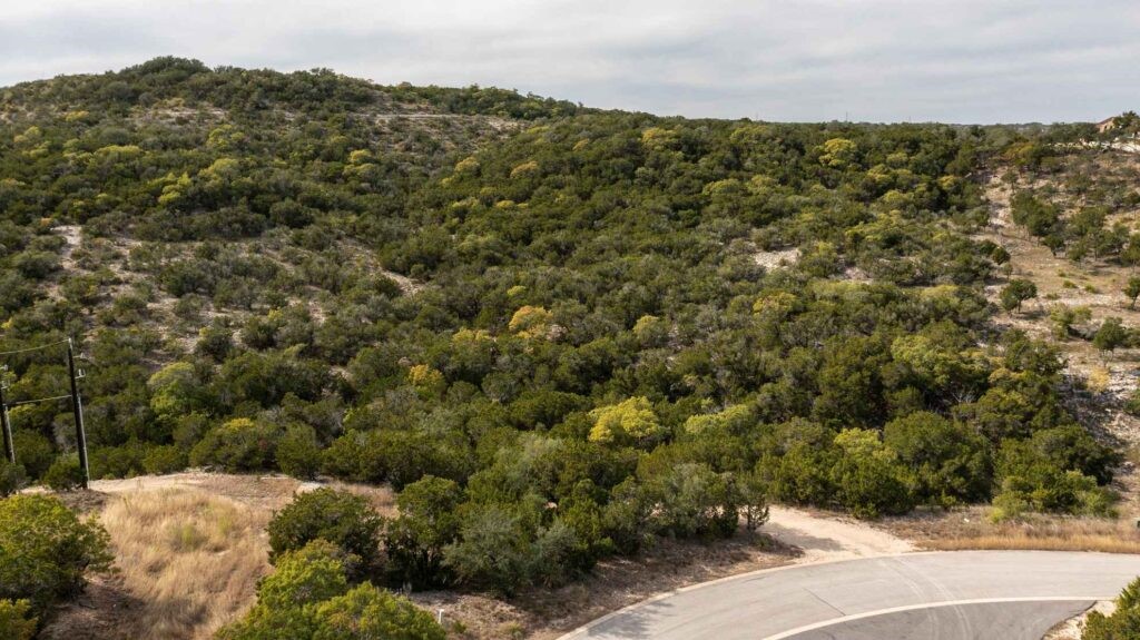 249-acres Miranda Ridge Boerne, TX 78006 - Photo 13 of 34