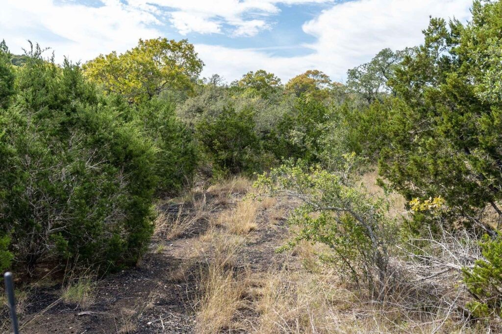 249-acres Miranda Ridge Boerne, TX 78006 - Photo 16 of 34