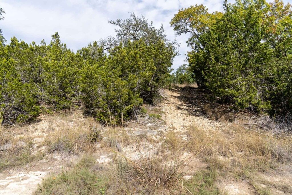 249-acres Miranda Ridge Boerne, TX 78006 - Photo 17 of 34
