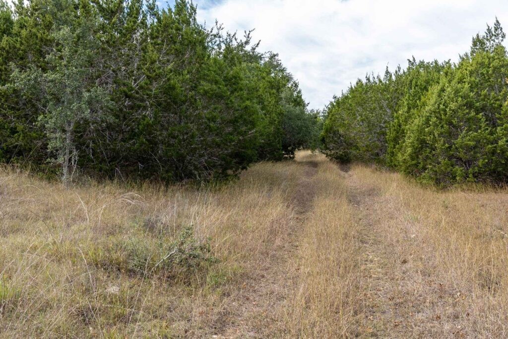 249-acres Miranda Ridge Boerne, TX 78006 - Photo 22 of 34