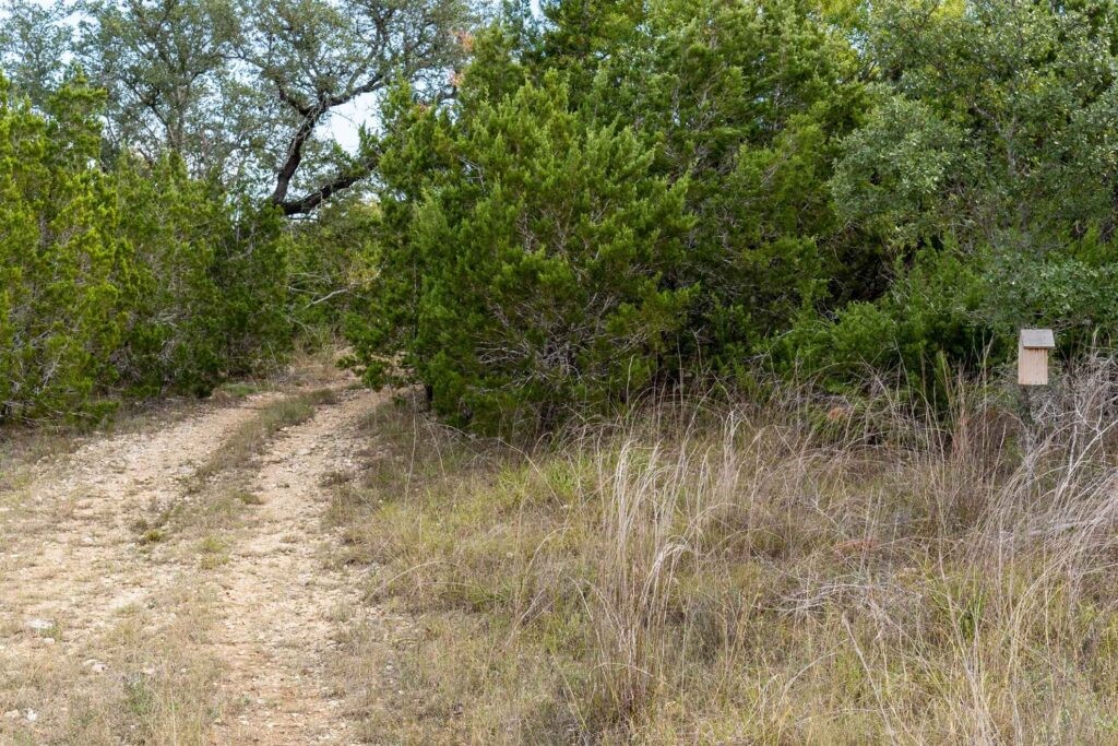 249-acres Miranda Ridge Boerne, TX 78006 - Photo 23 of 34